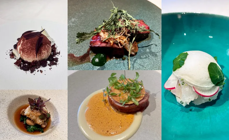 11月9日~ 新規メニューのご案内