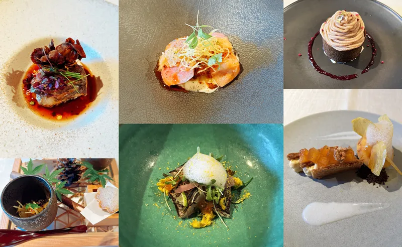 9月5日~ 新規メニューのご案内